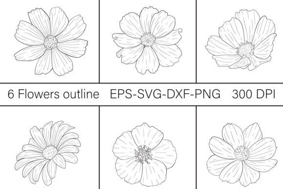 6 Outlined Flowers: Graphics & Illustrations Review