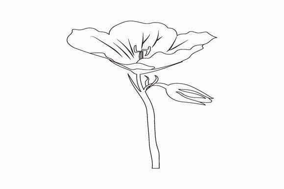 Beautiful Easy Flowers Graphics & Illustrations
