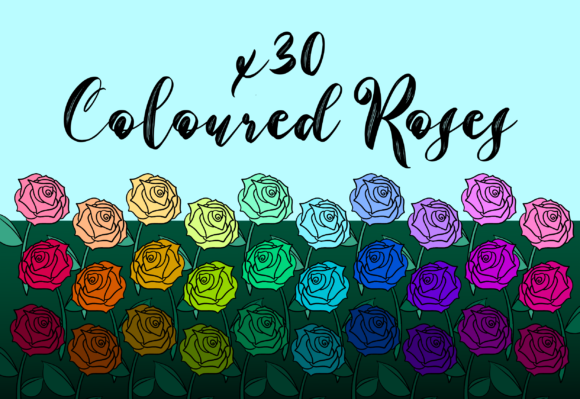 Coloured Roses Graphics for Handmade Illustrations