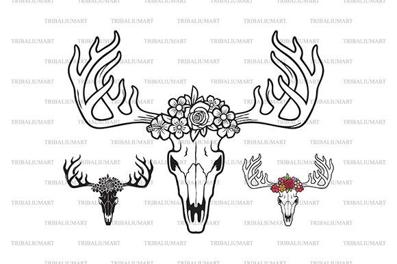 Deer Skull with Flowers: A Graphics and Illustrations Review