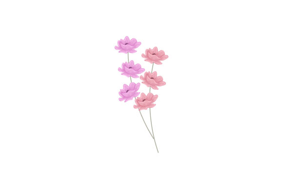 Flowers Blossom Flora Decorations: Graphics & Freebies Review