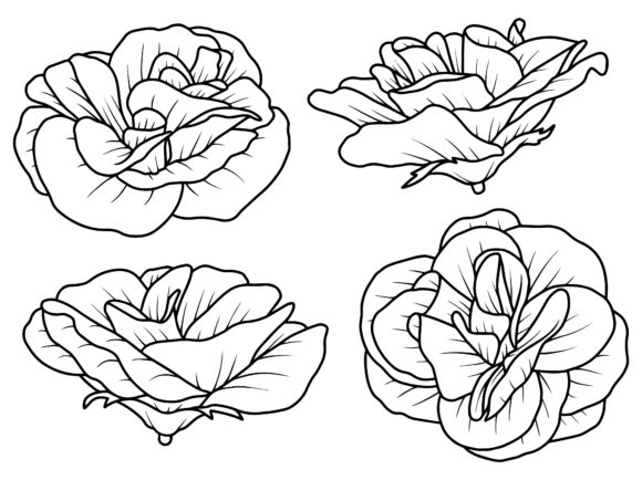 Flowers Line Art Illustration: Graphics & Illustrations Review