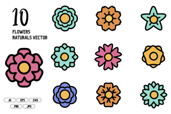 Flowers Naturals Vector: A Designer's Real-World Review