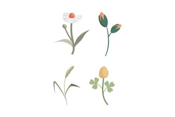 Flowers Nature Spring Beauty: Graphics & Illustrations Review