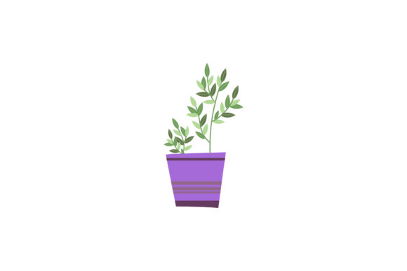 Flowers Plant Daisy Illustration for Modern Graphics and Editorial