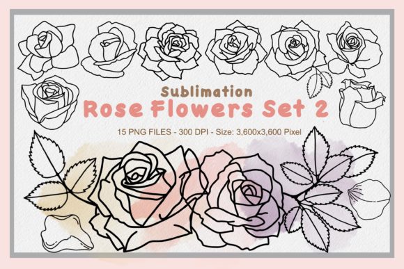 Sublimation Rose Flowers Set 2 Graphics & Illustrations